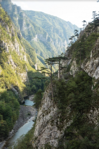 BLUE HEART1-at-18.08.54