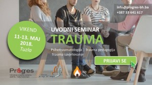 seminar trauma_n